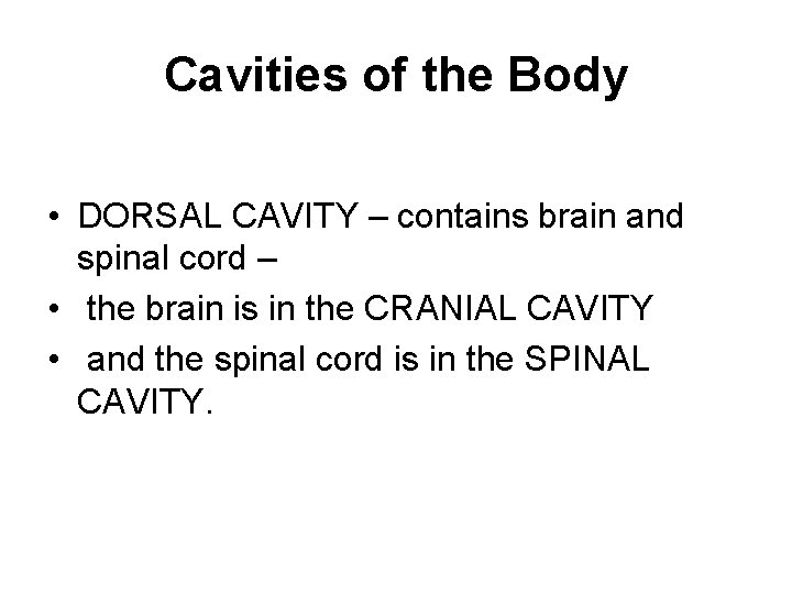 Cavities of the Body • DORSAL CAVITY – contains brain and spinal cord –