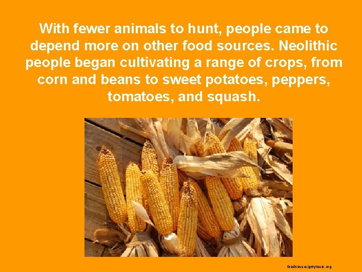 With fewer animals to hunt, people came to depend more on other food sources.