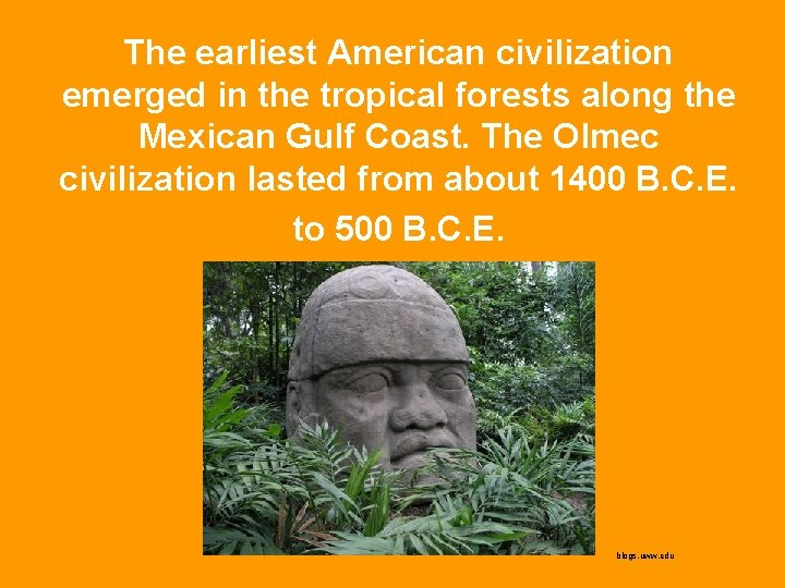 The earliest American civilization emerged in the tropical forests along the Mexican Gulf Coast.