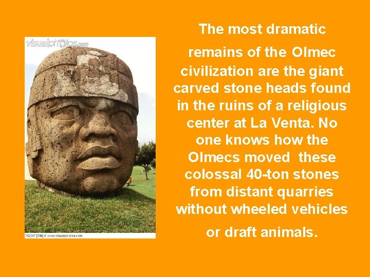 The most dramatic remains of the Olmec civilization are the giant carved stone heads