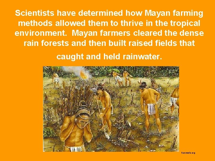 Scientists have determined how Mayan farming methods allowed them to thrive in the tropical