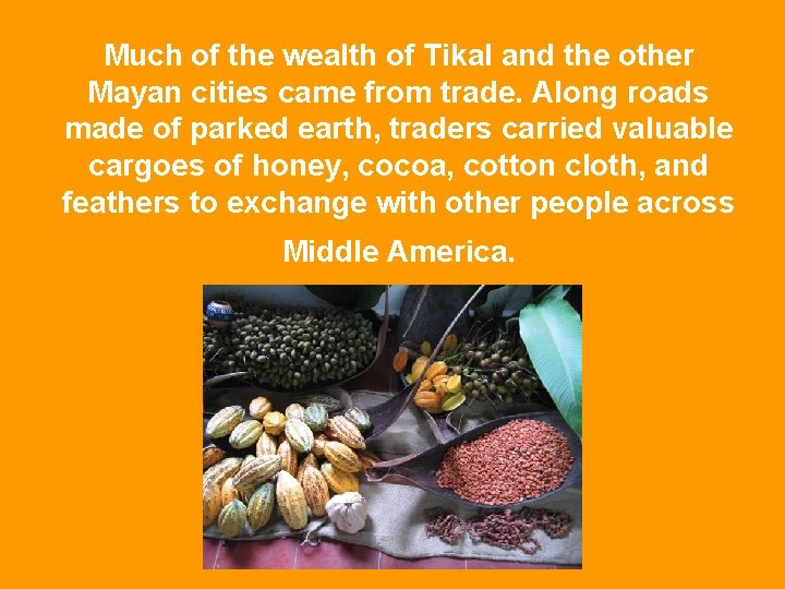 Much of the wealth of Tikal and the other Mayan cities came from trade.