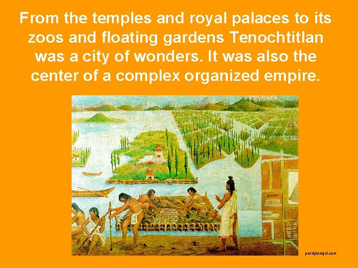 From the temples and royal palaces to its zoos and floating gardens Tenochtitlan was