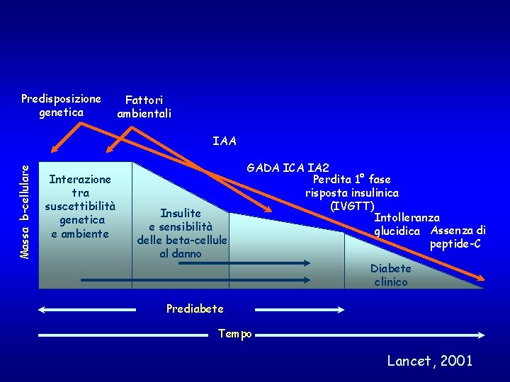 Predisposizione genetica Fattori ambientali Massa b-cellulare IAA Interazione tra suscettibilità genetica e ambiente Insulite Predisposizione genetica Fattori ambientali Massa b-cellulare IAA Interazione tra suscettibilità genetica e ambiente Insulite