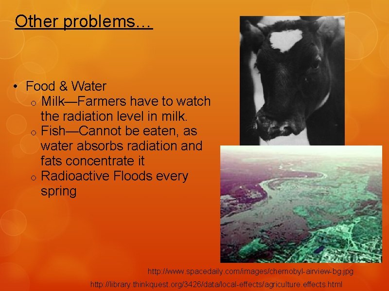 Other problems… • Food & Water o Milk—Farmers have to watch the radiation level