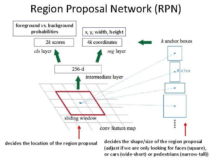 Region Proposal Network (RPN) foreground vs. background probabilities x, y, width, height decides the Region Proposal Network (RPN) foreground vs. background probabilities x, y, width, height decides the