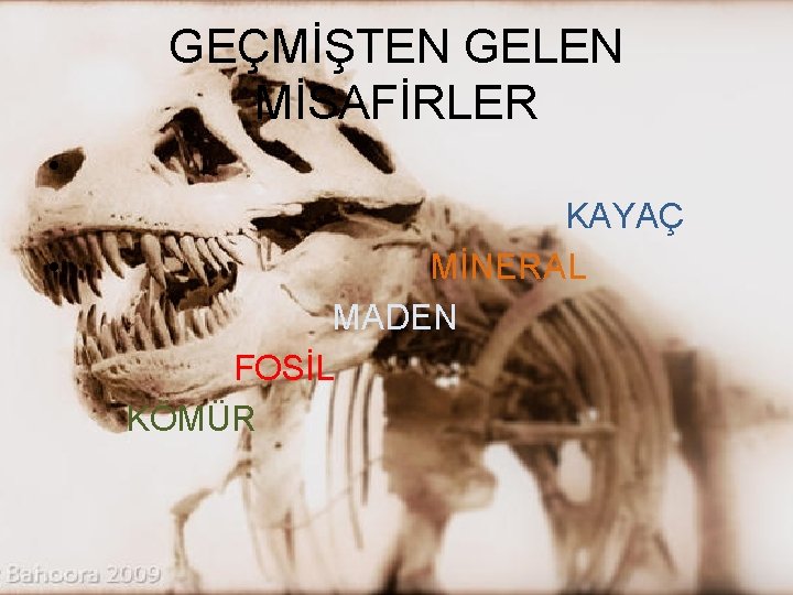 GEÇMİŞTEN GELEN MİSAFİRLER • • KAYAÇ MİNERAL MADEN FOSİL KÖMÜR 