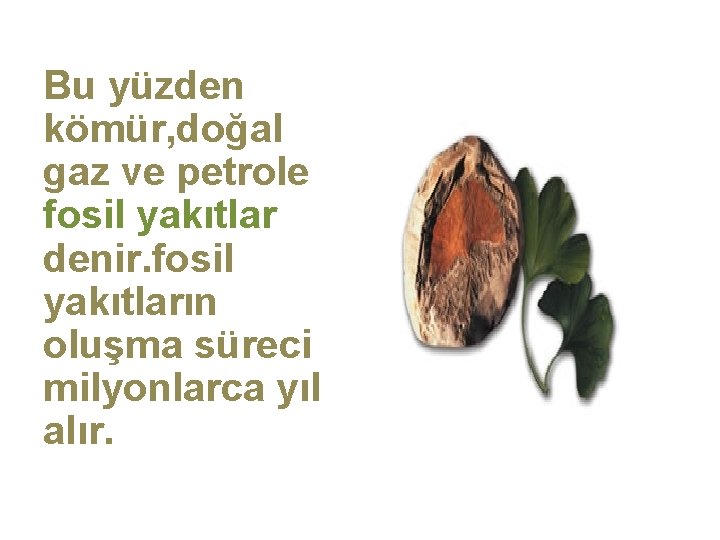 Bu yüzden kömür, doğal gaz ve petrole fosil yakıtlar denir. fosil yakıtların oluşma süreci