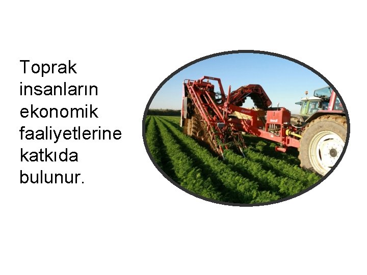 Toprak insanların ekonomik faaliyetlerine katkıda bulunur. 