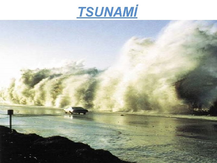 TSUNAMİ 