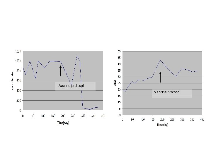 Vaccine protocol 