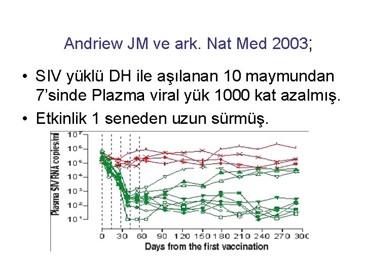 Andriew JM ve ark. Nat Med 2003; • SIV yüklü DH ile aşılanan 10