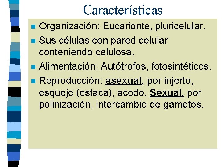 Características n n Organización: Eucarionte, pluricelular. Sus células con pared celular conteniendo celulosa. Alimentación: