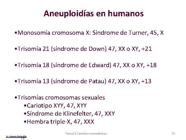 Aneuploidías en humanos • Monosomía cromosoma X: Síndrome de Turner, 45, X • Trisomía Aneuploidías en humanos • Monosomía cromosoma X: Síndrome de Turner, 45, X • Trisomía
