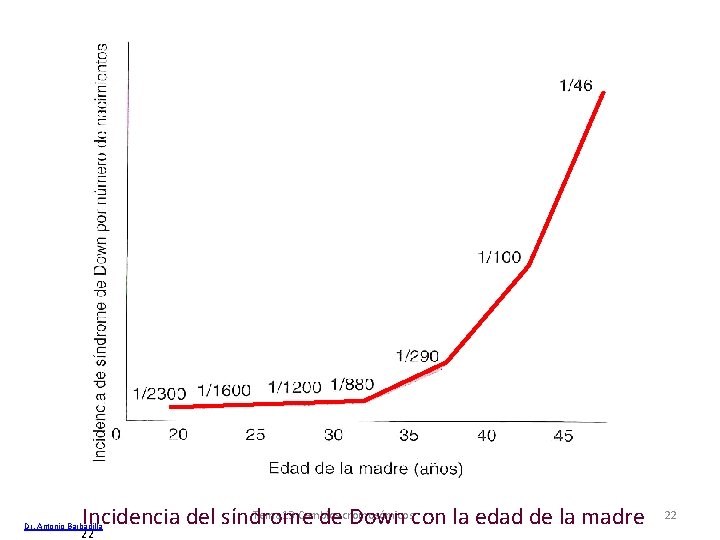 Tema 13 Cambios Incidencia del síndrome decromosómicos Down con la edad de la madre