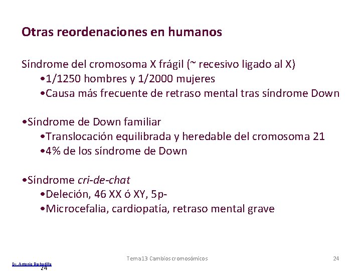 Otras reordenaciones en humanos Síndrome del cromosoma X frágil (~ recesivo ligado al X) Otras reordenaciones en humanos Síndrome del cromosoma X frágil (~ recesivo ligado al X)