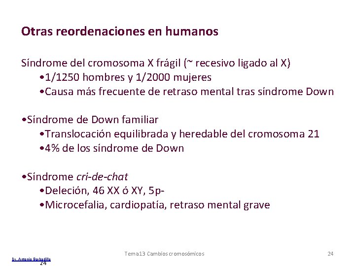 Otras reordenaciones en humanos Síndrome del cromosoma X frágil (~ recesivo ligado al X)