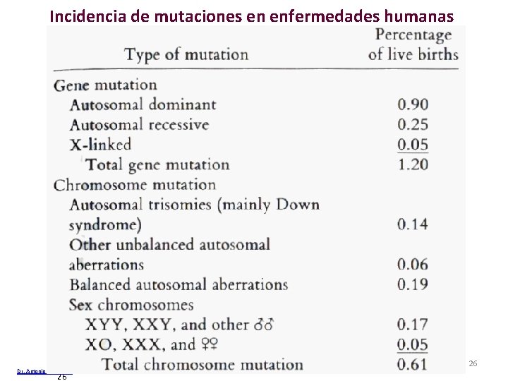 Incidencia de mutaciones en enfermedades humanas Dr. Antonio Barbadilla 26 Tema 13 Cambios cromosómicos