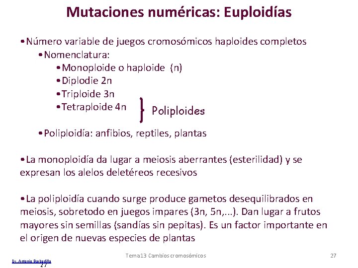 Mutaciones numéricas: Euploidías • Número variable de juegos cromosómicos haploides completos • Nomenclatura: • Mutaciones numéricas: Euploidías • Número variable de juegos cromosómicos haploides completos • Nomenclatura: •