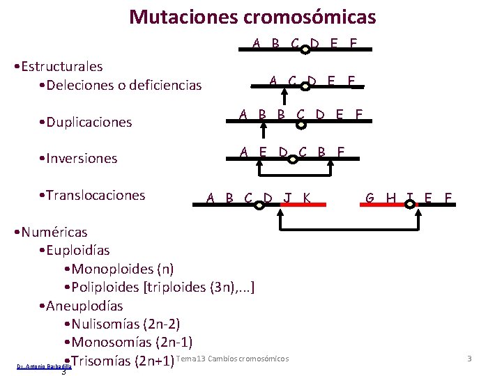 Mutaciones cromosómicas A B C D E F • Estructurales • Deleciones o deficiencias Mutaciones cromosómicas A B C D E F • Estructurales • Deleciones o deficiencias