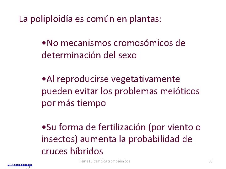 La poliploidía es común en plantas: • No mecanismos cromosómicos de determinación del sexo