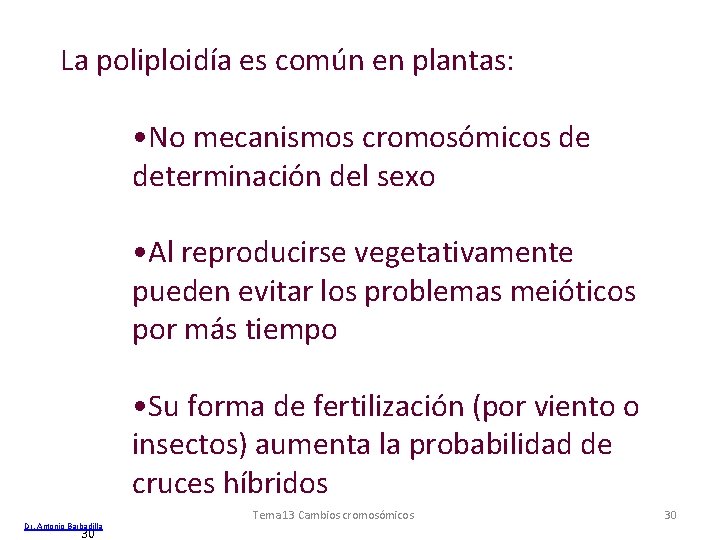 La poliploidía es común en plantas: • No mecanismos cromosómicos de determinación del sexo La poliploidía es común en plantas: • No mecanismos cromosómicos de determinación del sexo