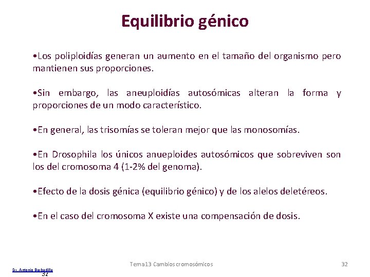 Equilibrio génico • Los poliploidías generan un aumento en el tamaño del organismo pero