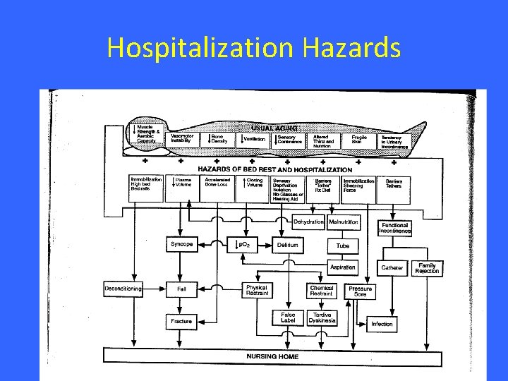Hospitalization Hazards Hospitalization Hazards