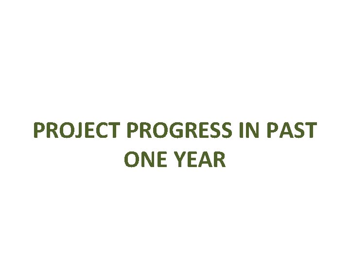 PROJECT PROGRESS IN PAST ONE YEAR PROJECT PROGRESS IN PAST ONE YEAR