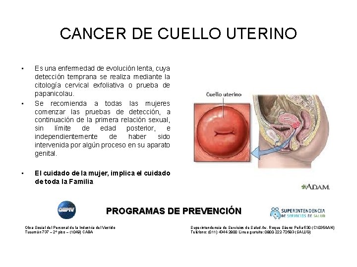 CANCER DE CUELLO UTERINO • • • Es una enfermedad de evolución lenta, cuya