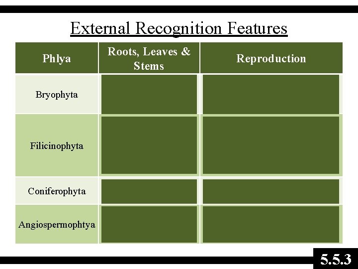 External Recognition Features Phlya Roots, Leaves & Stems Reproduction Bryophyta No roots or stem,