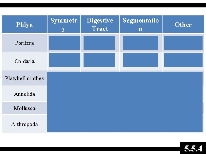 Phlya Symmetr y Digestive Tract Segmentatio n Other Porifera none no mouth / anus