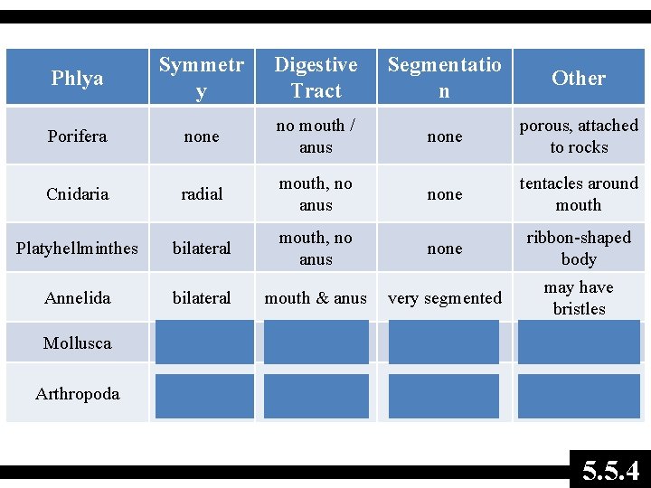 Phlya Symmetr y Digestive Tract Segmentatio n Other Porifera none no mouth / anus