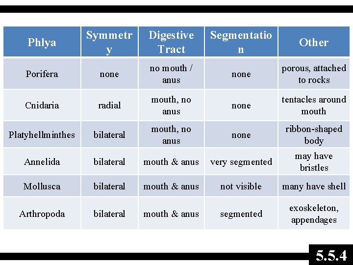 Phlya Symmetr y Digestive Tract Segmentatio n Other Porifera none no mouth / anus