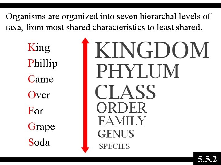 Organisms are organized into seven hierarchal levels of taxa, from most shared characteristics to