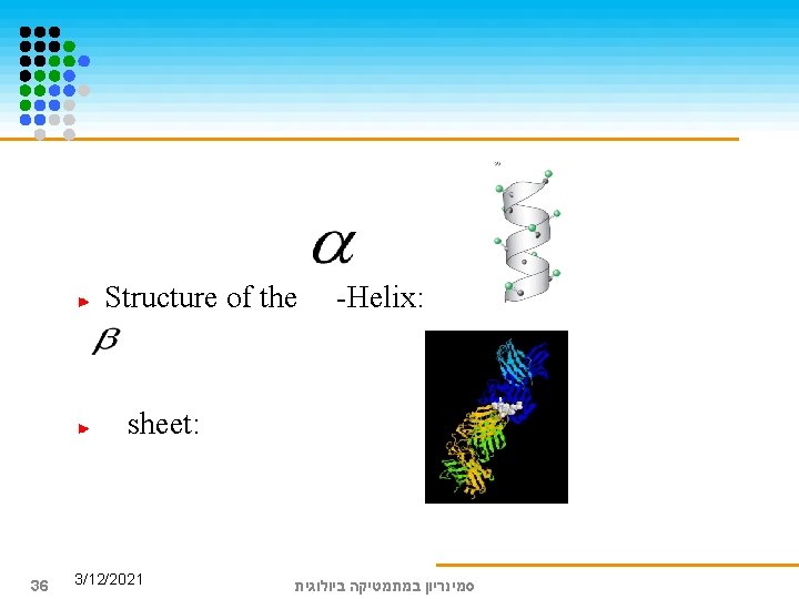 Structure of the -Helix: sheet: 36 3/12/2021 סמינריון במתמטיקה ביולוגית 