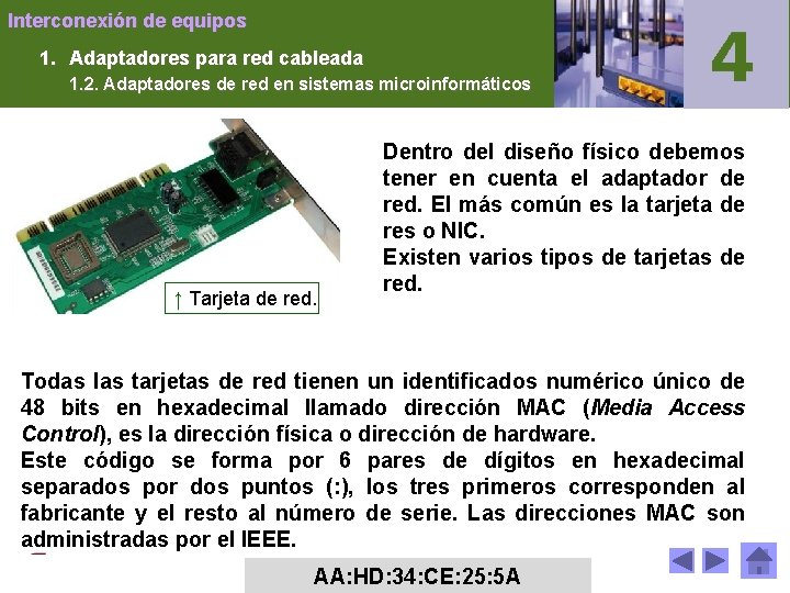 Interconexión de equipos 1. Adaptadores para red cableada 1. 2. Adaptadores de red en