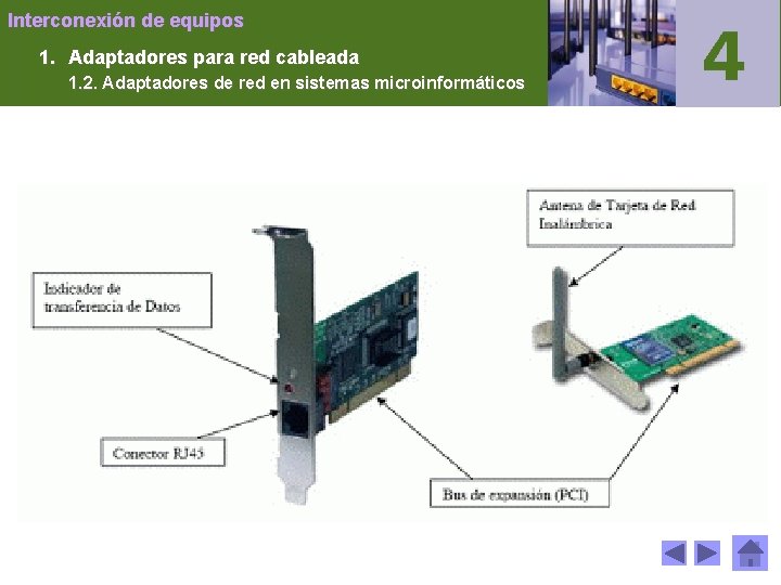 Interconexión de equipos 1. Adaptadores para red cableada 1. 2. Adaptadores de red en