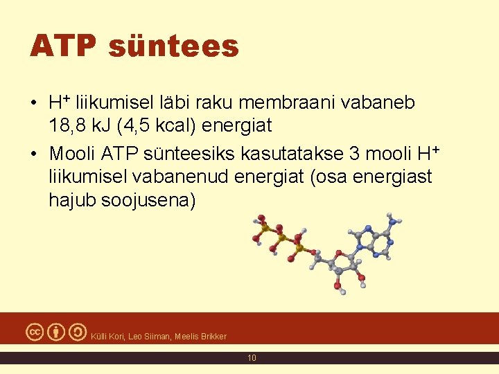 ATP süntees • H+ liikumisel läbi raku membraani vabaneb 18, 8 k. J (4, ATP süntees • H+ liikumisel läbi raku membraani vabaneb 18, 8 k. J (4,