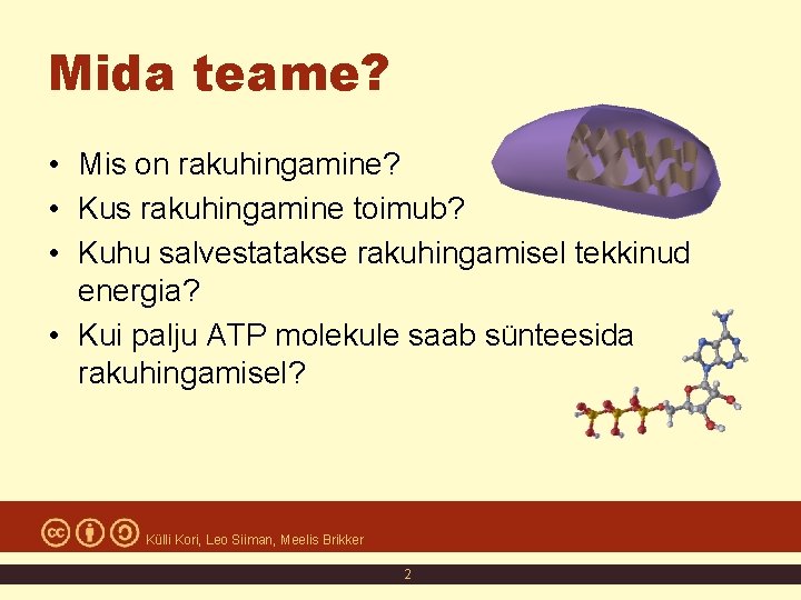 Mida teame? • Mis on rakuhingamine? • Kus rakuhingamine toimub? • Kuhu salvestatakse rakuhingamisel Mida teame? • Mis on rakuhingamine? • Kus rakuhingamine toimub? • Kuhu salvestatakse rakuhingamisel