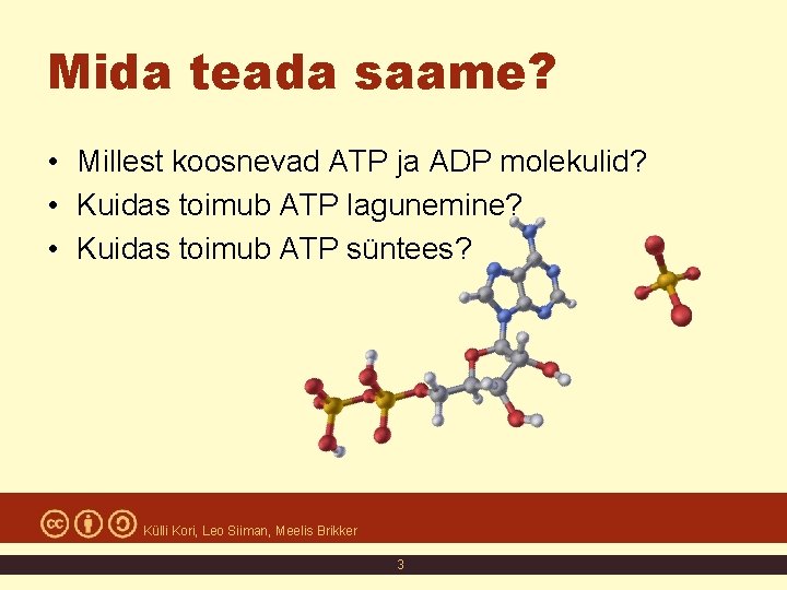 Mida teada saame? • Millest koosnevad ATP ja ADP molekulid? • Kuidas toimub ATP Mida teada saame? • Millest koosnevad ATP ja ADP molekulid? • Kuidas toimub ATP