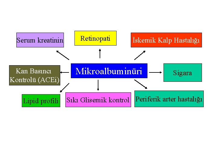 Serum kreatinin Kan Basıncı Kontrolü (ACEi) Lipid profili Retinopati İskemik Kalp Hastalığı Mikroalbuminüri Sigara