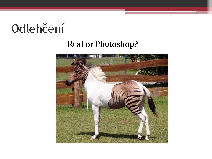Odlehčení Real or Photoshop? Odlehčení Real or Photoshop?