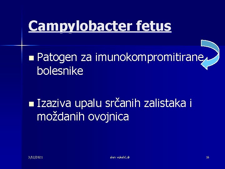 Campylobacter fetus n Patogen za imunokompromitirane bolesnike n Izaziva upalu srčanih zalistaka i moždanih