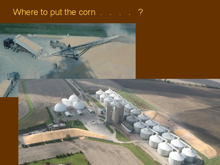 Where to put the corn. . ? Where to put the corn. . ?