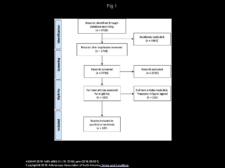 Fig 1 ASMAR 2019 1 e 93 -e 99 DOI: (10. 1016/j. asmr. 2019. Fig 1 ASMAR 2019 1 e 93 -e 99 DOI: (10. 1016/j. asmr. 2019.