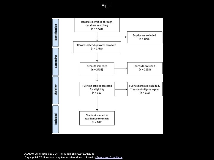 Fig 1 ASMAR 2019 1 e 93 -e 99 DOI: (10. 1016/j. asmr. 2019.