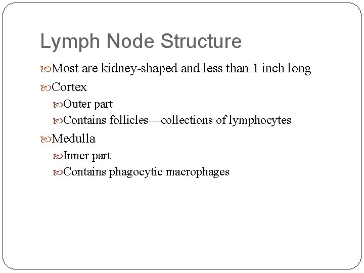 Lymph Node Structure Most are kidney-shaped and less than 1 inch long Cortex Outer Lymph Node Structure Most are kidney-shaped and less than 1 inch long Cortex Outer