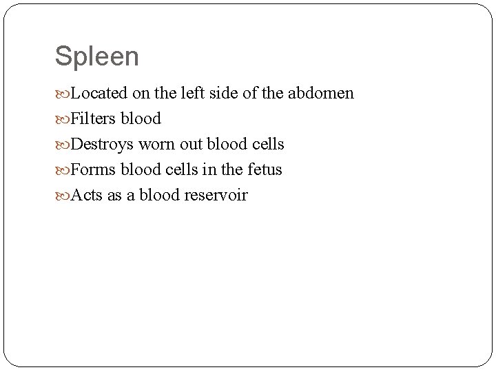 Spleen Located on the left side of the abdomen Filters blood Destroys worn out