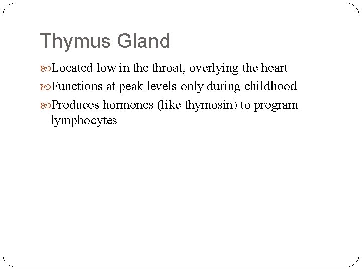 Thymus Gland Located low in the throat, overlying the heart Functions at peak levels